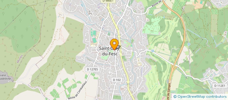 localisation de l'entreprise MONSIEUR PHILIPPE DOMINGUEZ  SAINT-PAUL-ET-VALMALLE