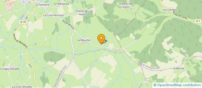 localisation de l'entreprise MONSIEUR PHILIPPE DUFOUR  SAINT-BONNET-DE-JOUX