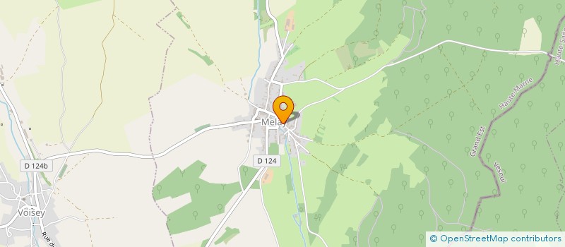 localisation de l'entreprise MONSIEUR PHILIPPE FRANCESCHI à BOURBONNE-LES-BAINS