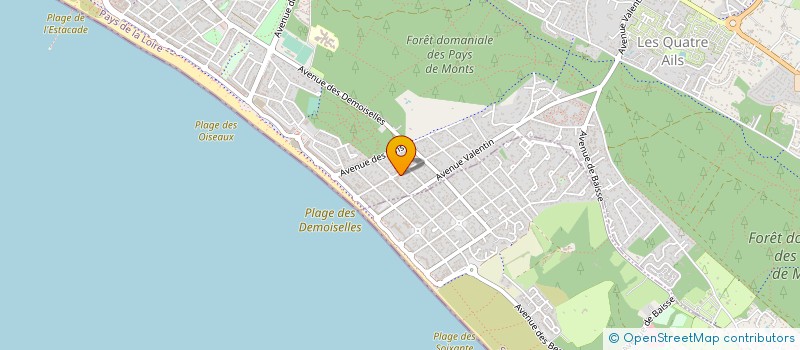 localisation de l'entreprise MONSIEUR PHILIPPE GALLARD  SAINT-JEAN-DE-MONTS