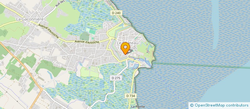 localisation de l'entreprise MONSIEUR PHILIPPE KOPP  LE CHATEAU-D'OLERON