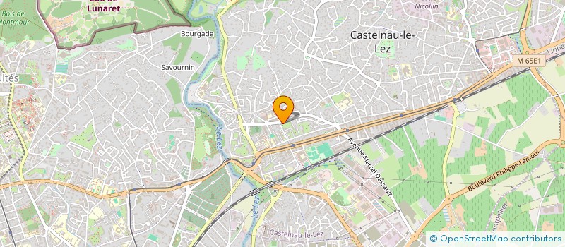 localisation de l'entreprise MONSIEUR PHILIPPE LILE-PALETTE à CASTELNAU-LE-LEZ