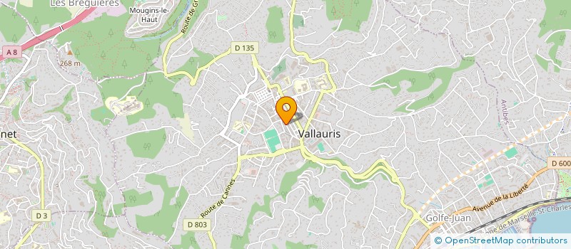 localisation de l'entreprise MONSIEUR PHILIPPE MASSIER à VALLAURIS