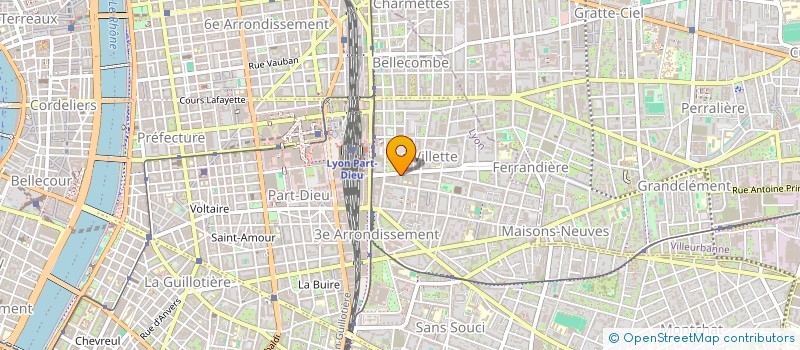 localisation de l'entreprise MONSIEUR PHILIPPE MATHIEU  LYON