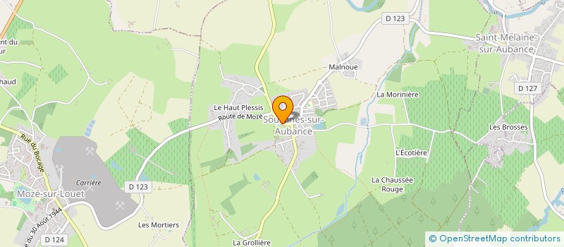 localisation de l'entreprise MONSIEUR PHILIPPE MICHEL  SOULAINES-SUR-AUBANCE