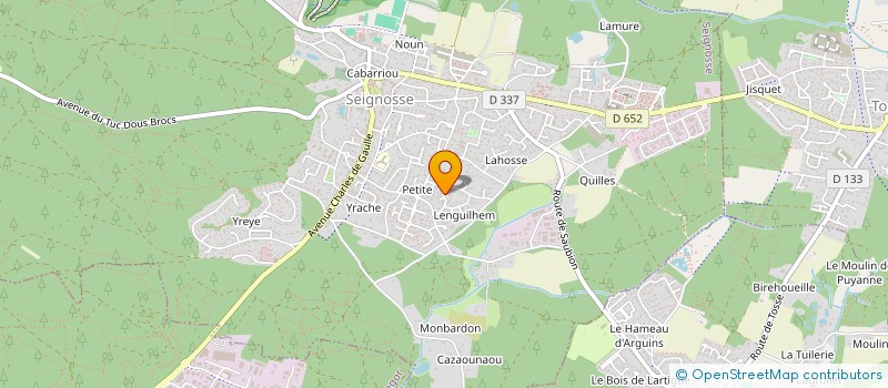 localisation de l'entreprise MONSIEUR PHILIPPE PECANTET BALOUS  SEIGNOSSE