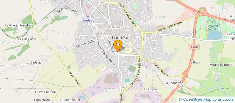 localisation de l'entreprise MONSIEUR PHILIPPE PEDRONO à LOUDEAC