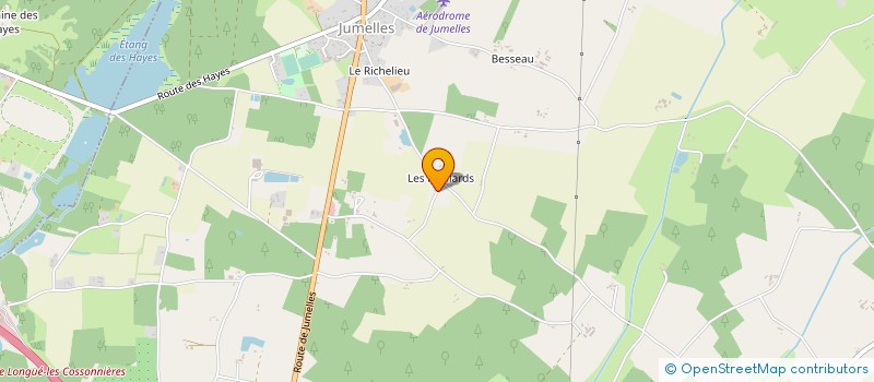 localisation de l'entreprise MONSIEUR PHILIPPE PICHONNEAU  LONGUE-JUMELLES