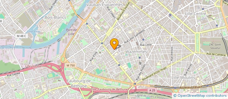 localisation de l'entreprise MONSIEUR PHILIPPE PLOMION à LILLE