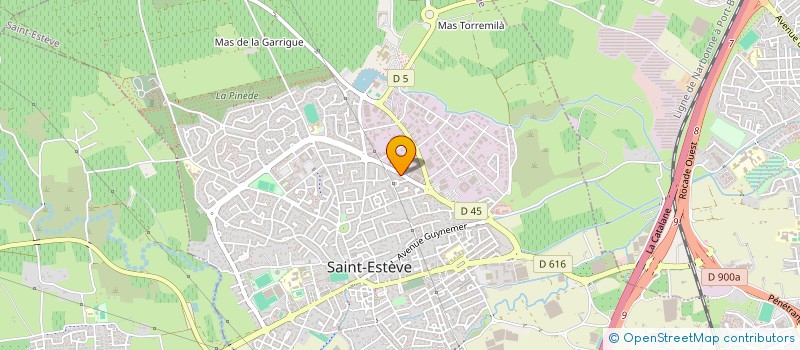 localisation de l'entreprise MONSIEUR PHILIPPE PUIGMAL  SAINT-ESTEVE