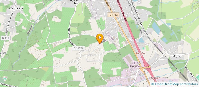 localisation de l'entreprise MONSIEUR PHILIPPE REINHARD  MARTILLAC