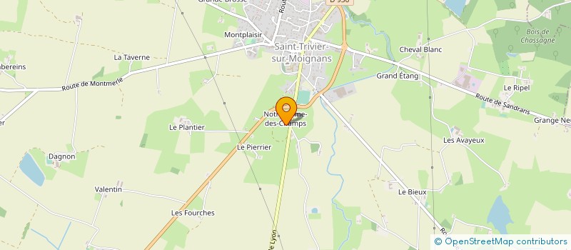 localisation de l'entreprise MONSIEUR PHILIPPE RIVIERE  SAINT-TRIVIER-SUR-MOIGNANS