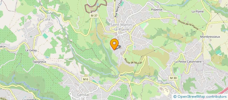 localisation de l'entreprise MONSIEUR PHILIPPE SARRUT  SAINT-MARTIN-LA-PLAINE