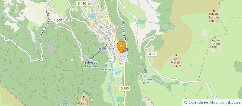 localisation de l'entreprise MONSIEUR PHILIPPE SCHAUB  MONT-DORE