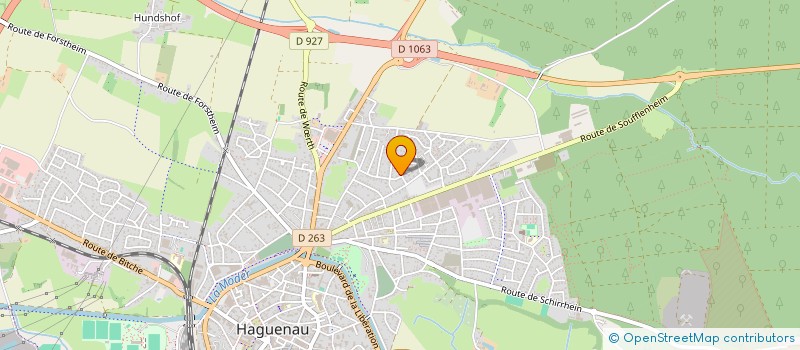 localisation de l'entreprise MONSIEUR PHILIPPE SOJIC  HAGUENAU