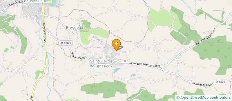 localisation de l'entreprise MONSIEUR PHILIPPE THON  SAINT-PIERRE-DE-BRESSIEUX