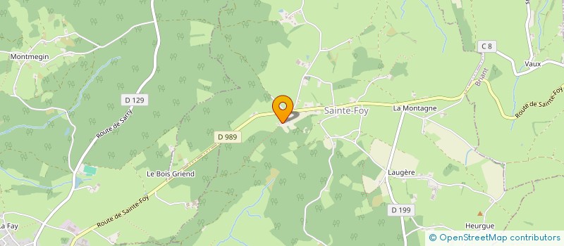 localisation de l'entreprise MONSIEUR PHILIPPE VERNAY  SAINTE-FOY