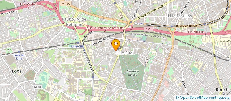 localisation de l'entreprise MONSIEUR PHILIPPE VIDAL à LILLE