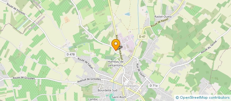 localisation de l'entreprise MONSIEUR PHILIPPE ZIGLER à TOULOUSE