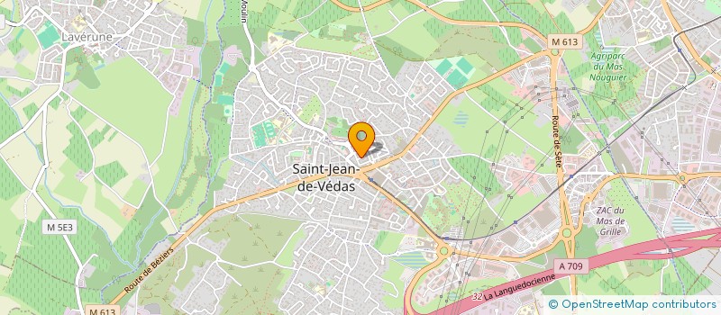 localisation de l'entreprise MONSIEUR PHUOC TOAN HO  SAINT-JEAN-DE-VEDAS