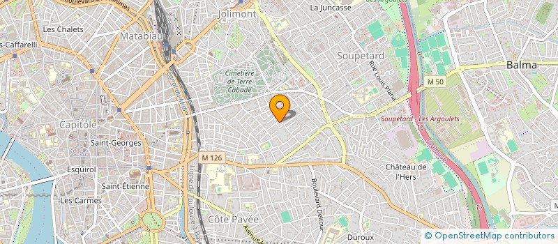 localisation de l'entreprise MONSIEUR PIERO DELAFOSSE  TOULOUSE