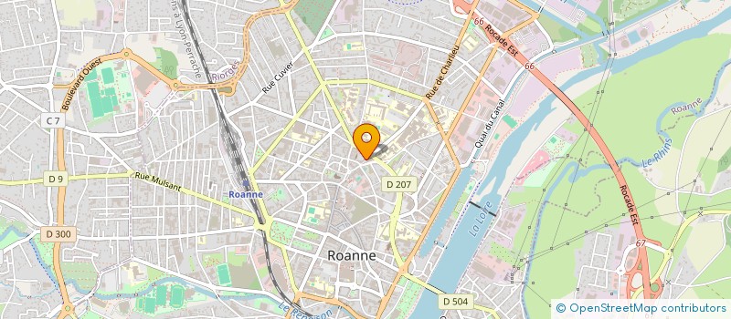 localisation de l'entreprise MONSIEUR PIERRE-ALAIN SALVY  ROANNE