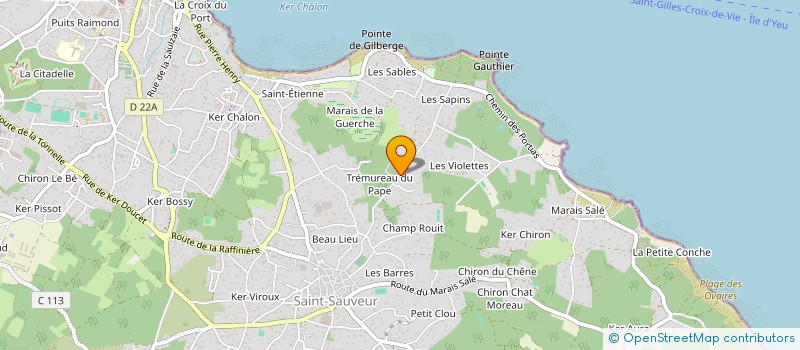 localisation de l'entreprise MONSIEUR PIERRE ANTOINE RASS à L'ILE-D'YEU