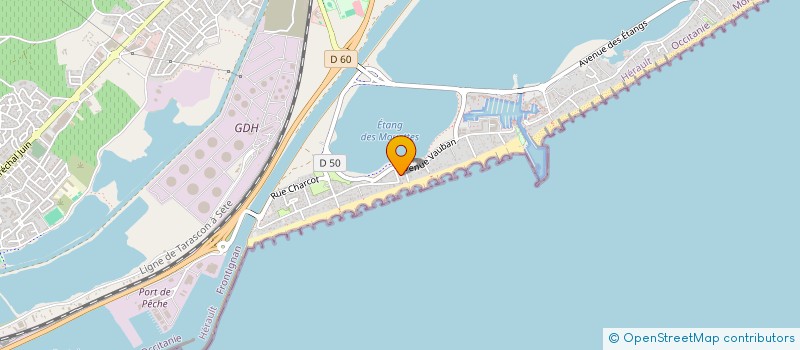 localisation de l'entreprise MONSIEUR PIERRE BARRITOU à FRONTIGNAN