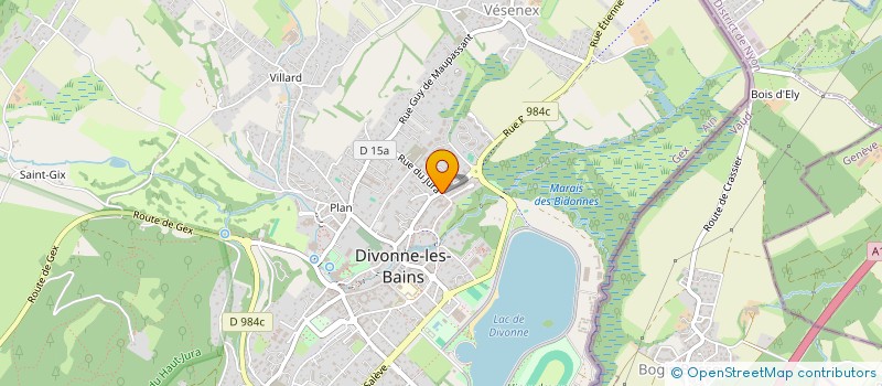 localisation de l'entreprise MONSIEUR PIERRE BIAU  DIVONNE-LES-BAINS