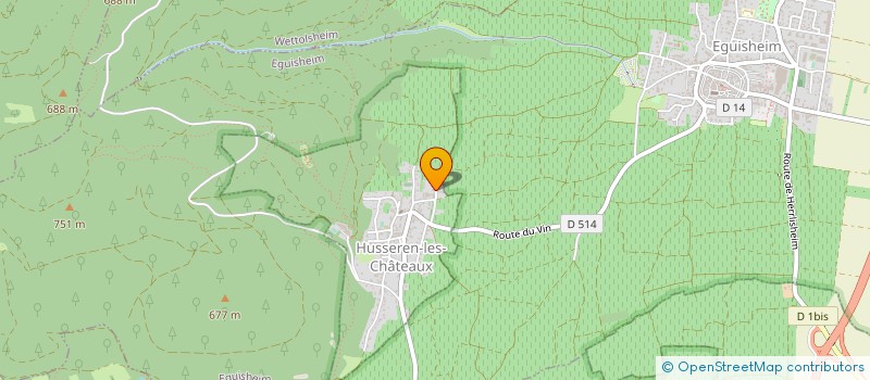 localisation de l'entreprise MONSIEUR PIERRE BIRGHAN  HUSSEREN-LES-CHATEAUX