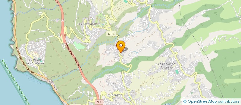 localisation de l'entreprise MONSIEUR PIERRE BRACONNIER  SAINT-LEU