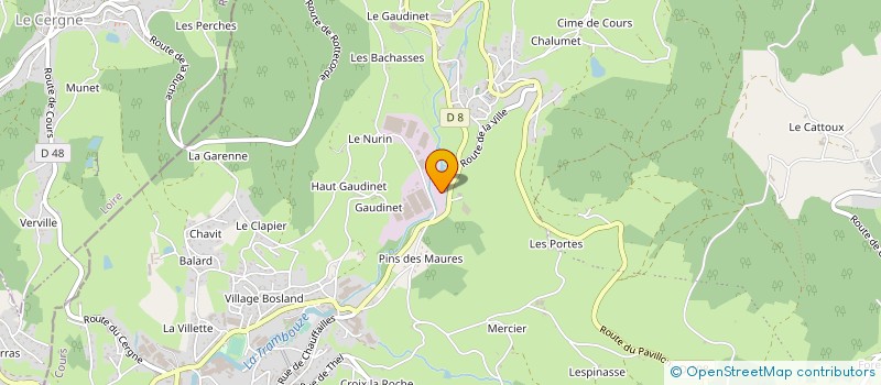 localisation de l'entreprise MONSIEUR PIERRE BRIDAY  COURS