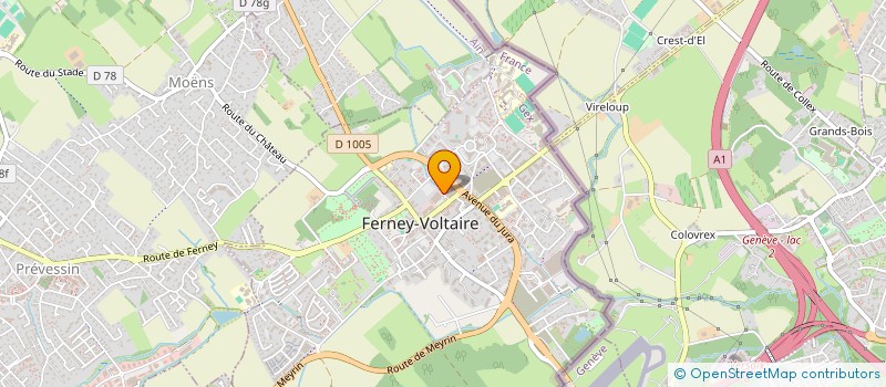 localisation de l'entreprise MONSIEUR PIERRE CAMOUS à FERNEY-VOLTAIRE