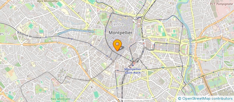 localisation de l'entreprise MONSIEUR PIERRE-CARL LANGLAIS à MONTPELLIER