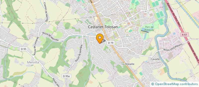 localisation de l'entreprise MONSIEUR PIERRE CERUTI à CASTANET-TOLOSAN