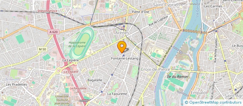 localisation de l'entreprise MONSIEUR PIERRE CHADENAS  TOULOUSE