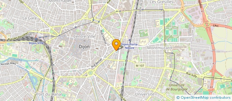 localisation de l'entreprise MONSIEUR PIERRE CHEVALIER  DIJON