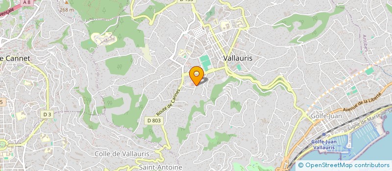 localisation de l'entreprise MONSIEUR PIERRE CHIALVA  VALLAURIS