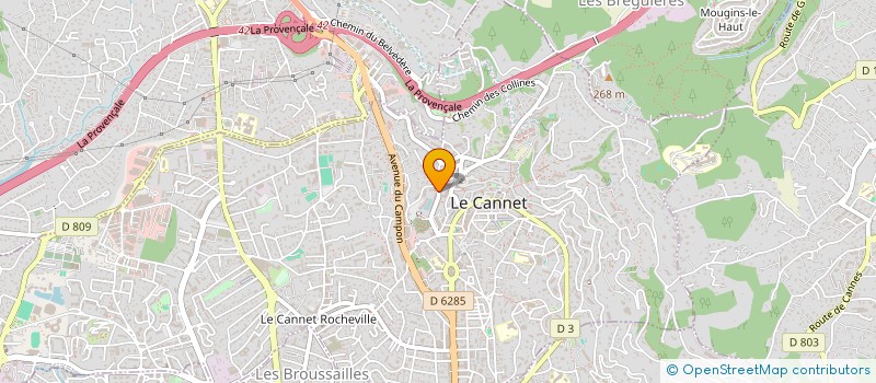 localisation de l'entreprise MONSIEUR PIERRE CHIQUERILLE à LE CANNET