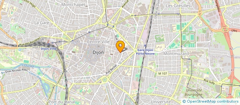 localisation de l'entreprise MONSIEUR PIERRE COGNET à DIJON