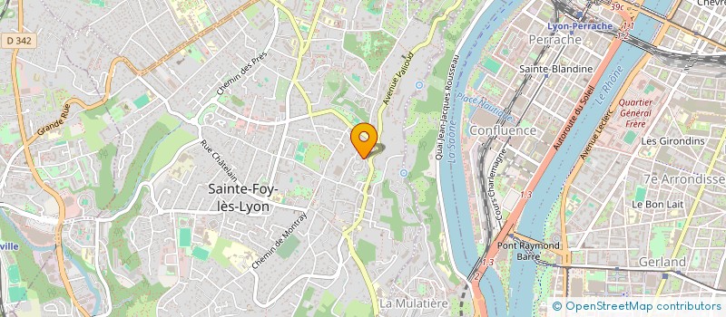 localisation de l'entreprise MONSIEUR PIERRE CONTAMIN  SAINTE-FOY-LES-LYON