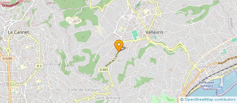 localisation de l'entreprise MONSIEUR PIERRE CONTENCIN-DOBREMELLE  VALLAURIS