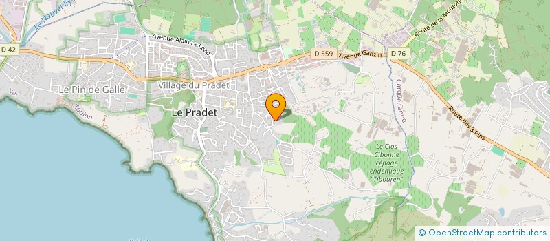 localisation de l'entreprise MONSIEUR PIERRE DAGORN  LE PRADET