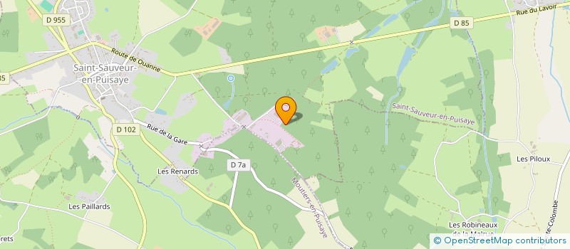 localisation de l'entreprise MONSIEUR PIERRE DAMOTTE  SAINT-SAUVEUR-EN-PUISAYE