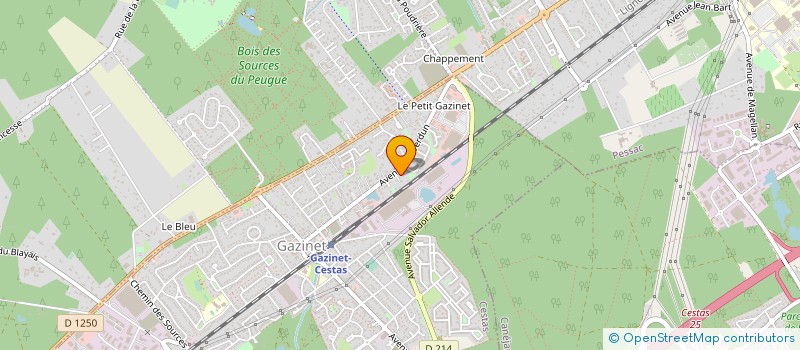 localisation de l'entreprise MONSIEUR PIERRE DELSUC  CESTAS