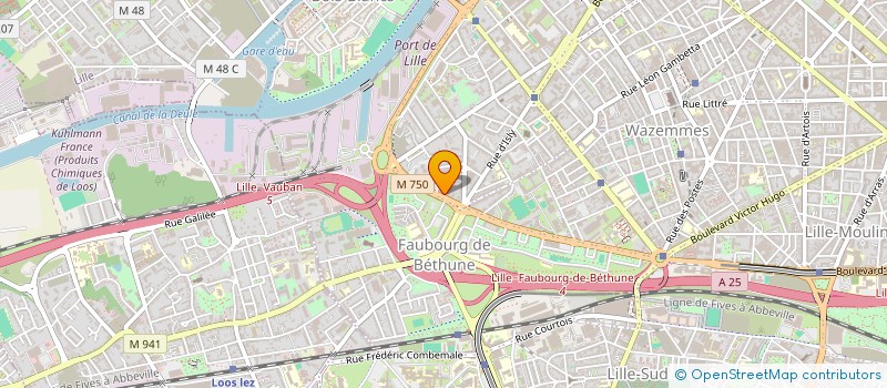 localisation de l'entreprise MONSIEUR PIERRE DOUCHY à LILLE