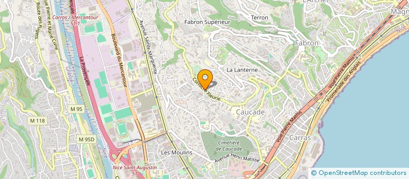 localisation de l'entreprise MONSIEUR PIERRE DUBARD à NICE