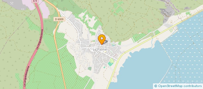 localisation de l'entreprise MONSIEUR PIERRE DYBMAN  LA PALME