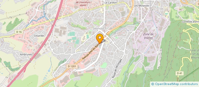 localisation de l'entreprise MONSIEUR PIERRE-EMILIO MEDINA à ANNECY