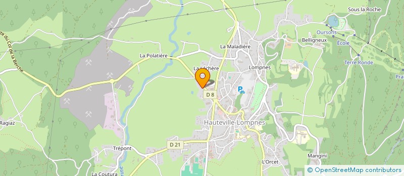 localisation de l'entreprise MONSIEUR PIERRE FALLAVIER à PLATEAU D'HAUTEVILLE